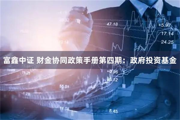 富鑫中证 财金协同政策手册第四期：政府投资基金