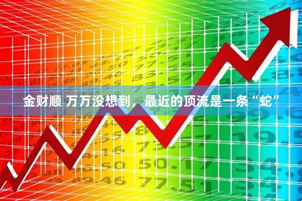 金财顺 万万没想到，最近的顶流是一条“蛇”