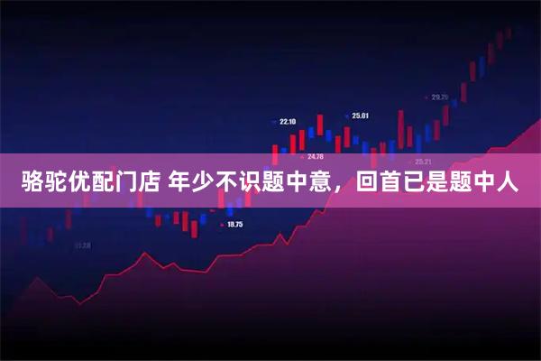 骆驼优配门店 年少不识题中意，回首已是题中人